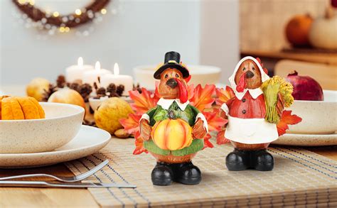 thanksgiving decorations amazon